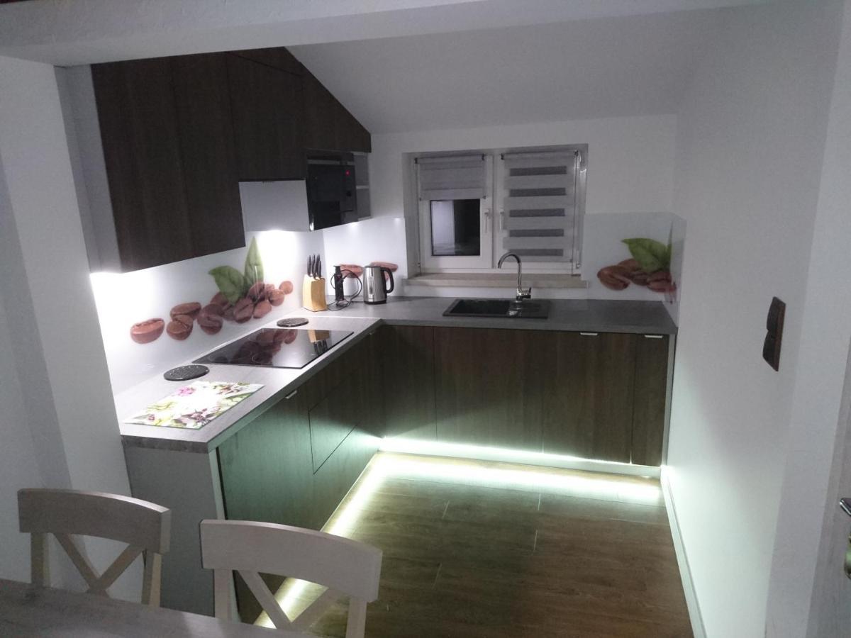 Apartament Elbrus Czyrna Szczyrk Wypozyczalnia Rowerow E-Bike Czyrna Szkola Narciarska & Wypozyczalnia Ski Serwis Bagian luar foto
