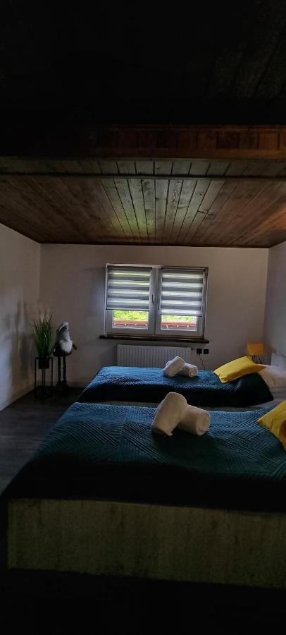 Apartament Elbrus Czyrna Szczyrk Wypozyczalnia Rowerow E-Bike Czyrna Szkola Narciarska & Wypozyczalnia Ski Serwis Bagian luar foto